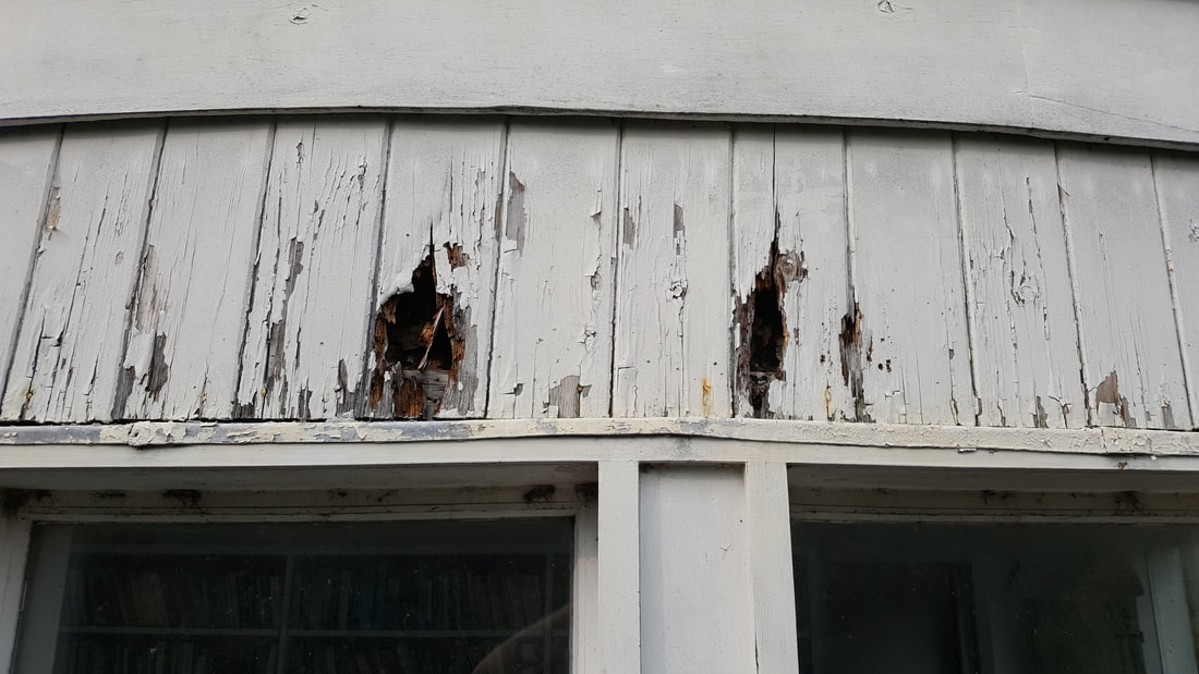 G D S Painting & Decorating — Photos 11